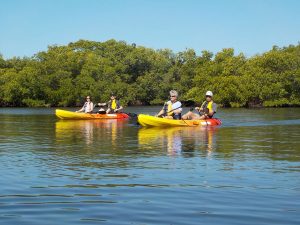 Fort Myers Beach Kayak Rentals